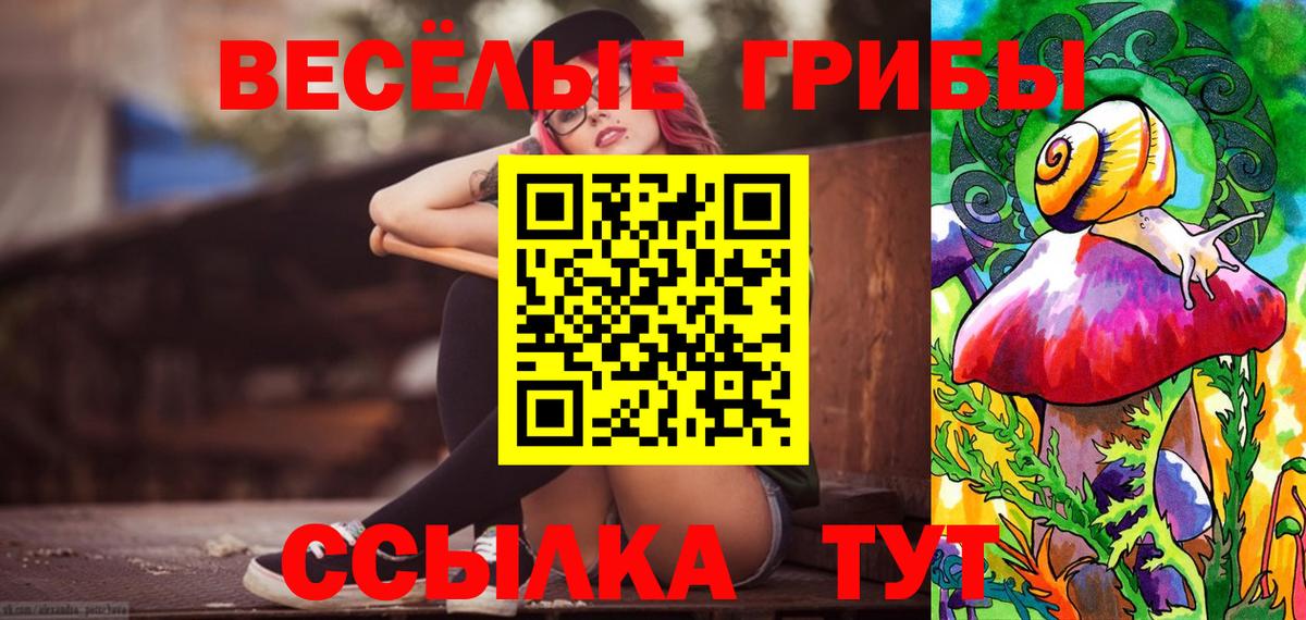 Псилоцибиновые грибы MAGIC MUSHROOMS Казань